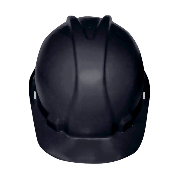 MASTER HARD HAT - BLACK (SABS)